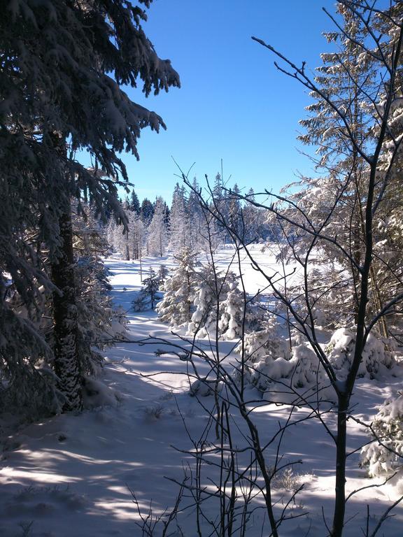 Schwarzwald-Chalet Feldberg Leilighet Feldberg  Eksteriør bilde