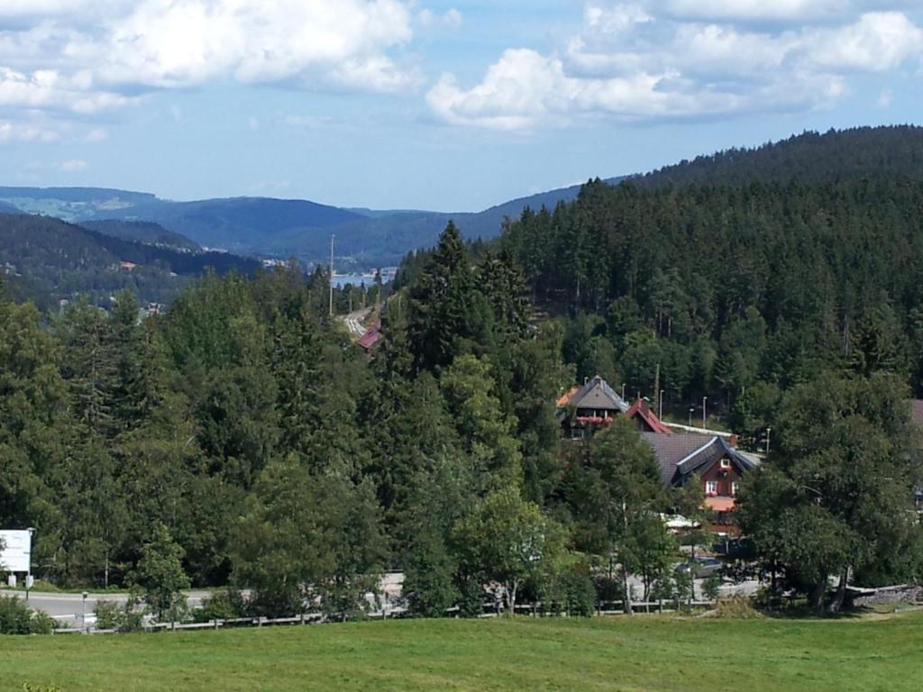 Schwarzwald-Chalet Feldberg Feldberg  Eksteriør bilde